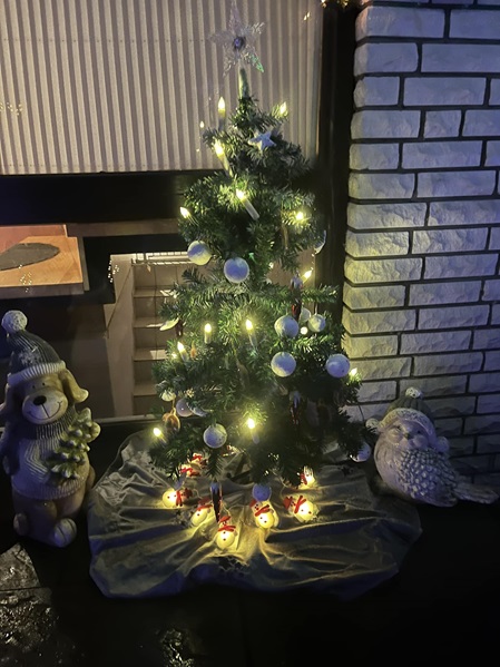 Weihnachtsbaum Aktion