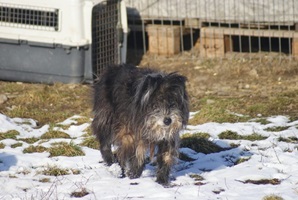 Marcel